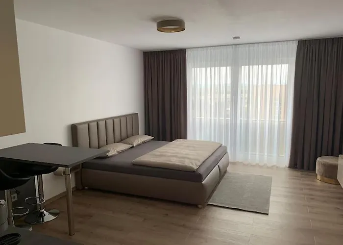 Eine Gemuetliche Einzimmerwohnung