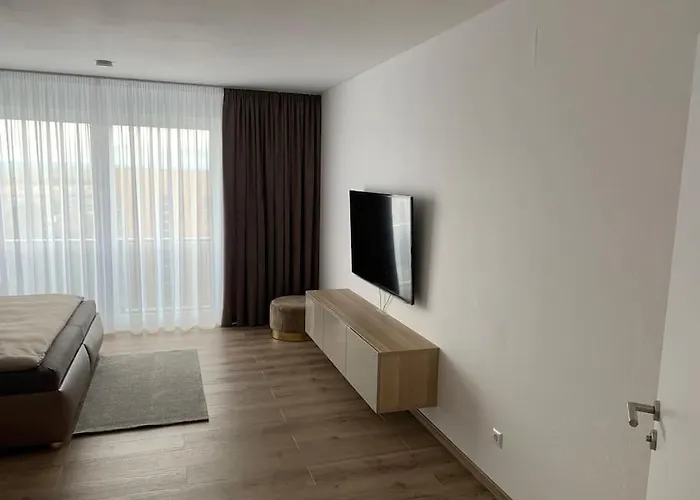Eine Gemuetliche Einzimmerwohnung