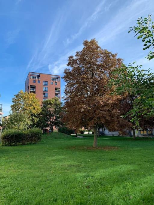 Apartment Eine Gemuetliche Einzimmerwohnung *